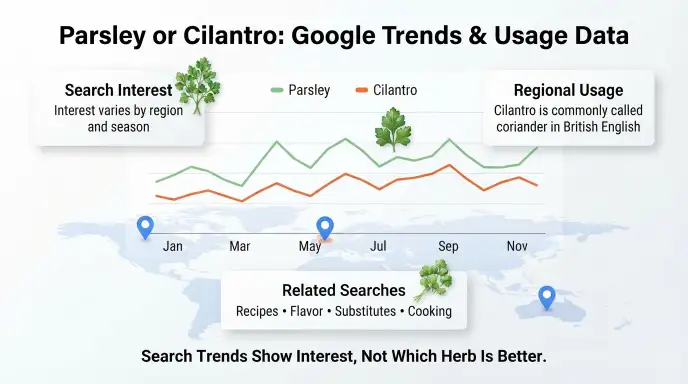 Parsley or Cilantro : Google Trends & Usage Data