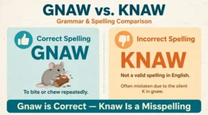 gnaw or knaw