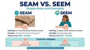 seam or seem